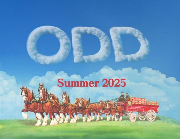 Odd Sox Summer 2025